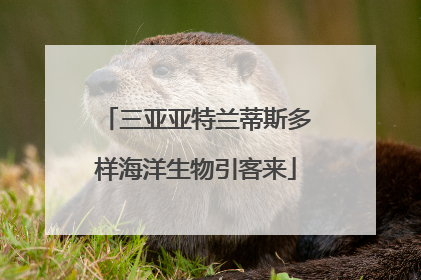 三亚亚特兰蒂斯多样海洋生物引客来