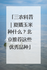 三农科普｜夏播玉米种什么？北京推荐这些优秀品种