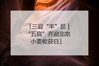 三夏“丰”景｜“五良”齐迎北京小麦收获日