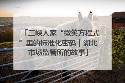 三峡人家“微笑方程式”里的标准化密码｜湖北市场监管所的故事