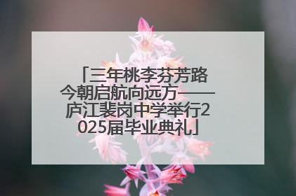 三年桃李芬芳路 今朝启航向远方——庐江裴岗中学举行2025届毕业典礼