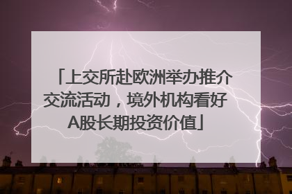 上交所赴欧洲举办推介交流活动，境外机构看好A股长期投资价值