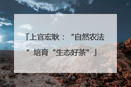 上官宏耿：“自然农法”培育“生态好茶”