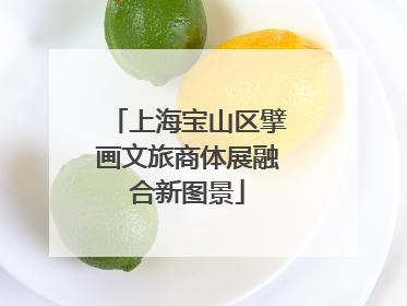 上海宝山区擘画文旅商体展融合新图景