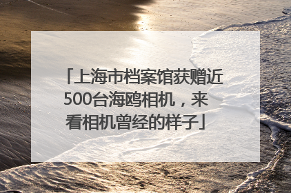 上海市档案馆获赠近500台海鸥相机，来看相机曾经的样子