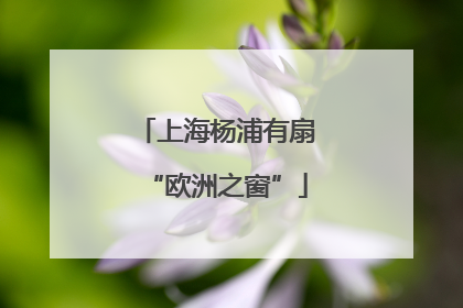 上海杨浦有扇“欧洲之窗”