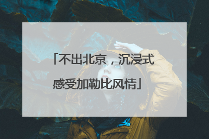 不出北京，沉浸式感受加勒比风情