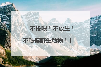 不投喂！不放生！不触摸野生动物！
