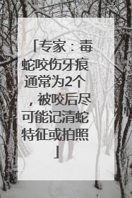 专家：毒蛇咬伤牙痕通常为2个，被咬后尽可能记清蛇特征或拍照