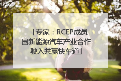 专家：RCEP成员国新能源汽车产业合作驶入共赢快车道