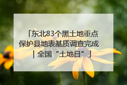 东北83个黑土地重点保护县地表基质调查完成｜全国“土地日”