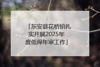 东安县花桥镇扎实开展2025年度低保年审工作