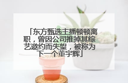 东方甄选主播顿顿离职，曾因公司推掉其综艺邀约而失望，被称为下一个董宇辉