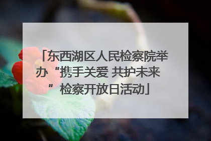 东西湖区人民检察院举办“携手关爱 共护未来”检察开放日活动