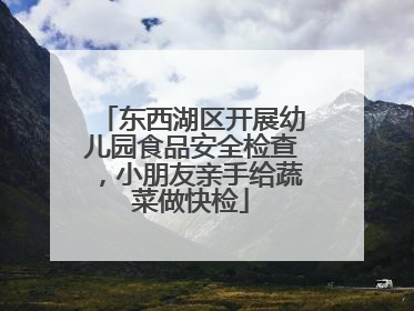 东西湖区开展幼儿园食品安全检查，小朋友亲手给蔬菜做快检