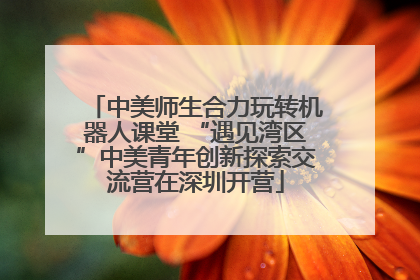 中美师生合力玩转机器人课堂 “遇见湾区”中美青年创新探索交流营在深圳开营