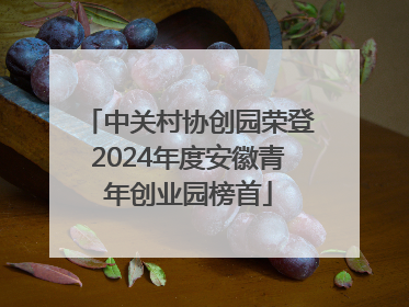 中关村协创园荣登2024年度安徽青年创业园榜首