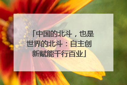 中国的北斗，也是世界的北斗：自主创新赋能千行百业