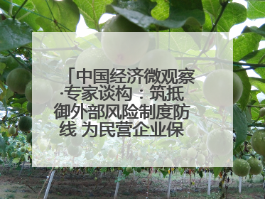 中国经济微观察·专家谈构：筑抵御外部风险制度防线 为民营企业保驾护航