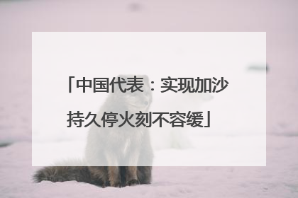 中国代表：实现加沙持久停火刻不容缓
