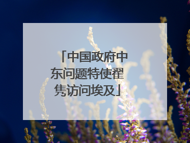 中国政府中东问题特使翟隽访问埃及