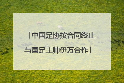 中国足协按合同终止与国足主帅伊万合作
