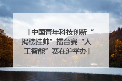 中国青年科技创新“揭榜挂帅”擂台赛“人工智能”赛在沪举办