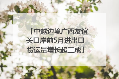 中越边境广西友谊关口岸前5月进出口货运量增长超三成