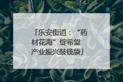 乐安街道：“药材花海”绽希望 产业振兴鼓钱袋