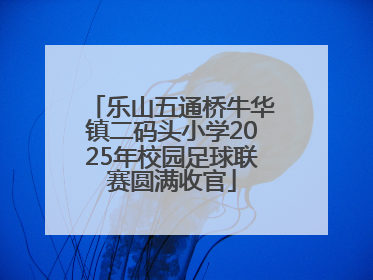 乐山五通桥牛华镇二码头小学2025年校园足球联赛圆满收官