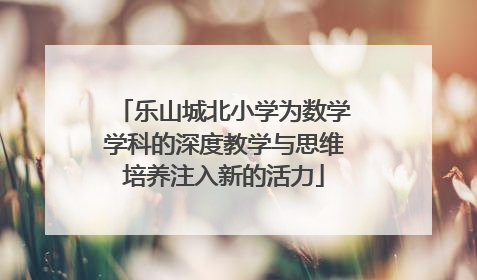乐山城北小学为数学学科的深度教学与思维培养注入新的活力