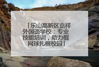 乐山高新区嘉祥外国语学校：专业技能培训，助力棍网球扎根校园