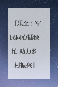 乐至：军民同心插秧忙 助力乡村振兴
