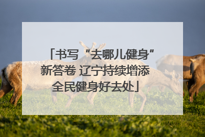书写“去哪儿健身”新答卷 辽宁持续增添全民健身好去处