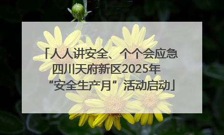 人人讲安全、个个会应急 四川天府新区2025年“安全生产月”活动启动