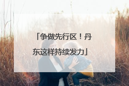 争做先行区！丹东这样持续发力