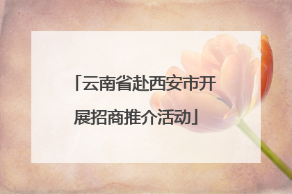 云南省赴西安市开展招商推介活动