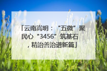 云南嵩明：“五微”聚民心“3456”筑基石，精治善治谱新篇