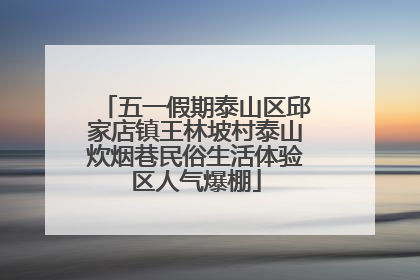 五一假期泰山区邱家店镇王林坡村泰山炊烟巷民俗生活体验区人气爆棚