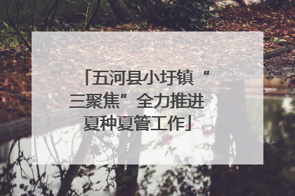 五河县小圩镇“三聚焦”全力推进夏种夏管工作