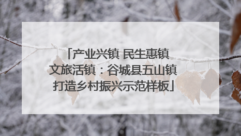 产业兴镇 民生惠镇 文旅活镇：谷城县五山镇打造乡村振兴示范样板