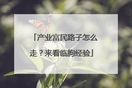 产业富民路子怎么走？来看临朐经验