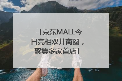 京东MALL今日亮相双井商圈，聚集多家首店