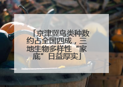 京津冀鸟类种数约占全国四成，三地生物多样性“家底”日益厚实