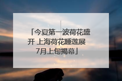 今夏第一波荷花盛开 上海荷花睡莲展7月上旬揭幕