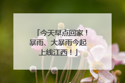 今天早点回家！暴雨、大暴雨今起上线江西！