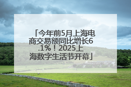 今年前5月上海电商交易额同比增长6.1%！2025上海数字生活节开幕