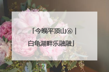 今晚平顶山⑥｜白龟湖畔乐融融