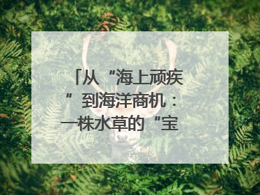 从“海上顽疾”到海洋商机：一株水草的“宝藏人生”