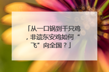 从一口锅到千只鸡，非遗东安鸡如何“飞”向全国？